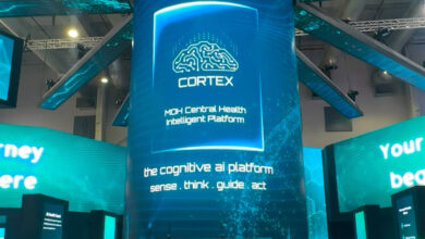 Cortex