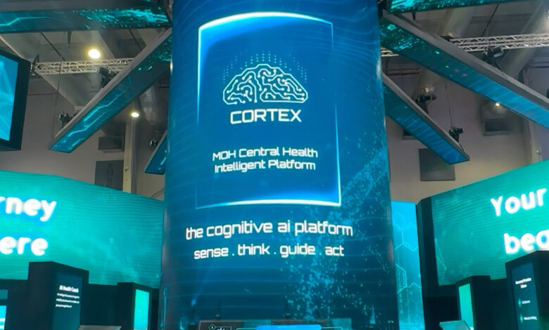 Cortex